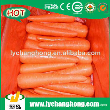 2014 Fresh carrot for hot sale